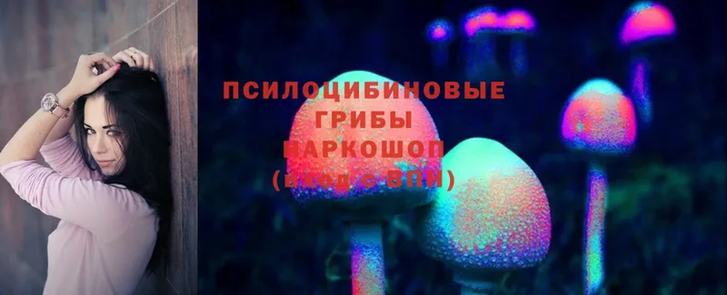 Галлюциногенные грибы Cubensis  Нефтегорск 